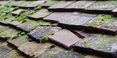 Prickwillow roof repair costs